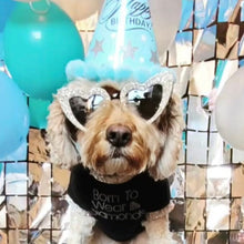 Load image into Gallery viewer, Sparkle Sunnies
