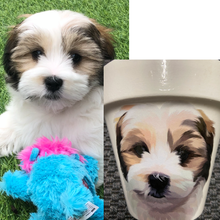 Load image into Gallery viewer, Personalised Flowerpot
